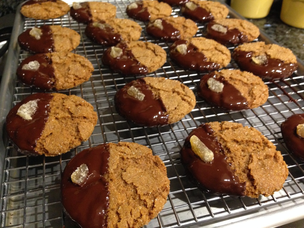 Ginger Cookies dipped in Chocolate