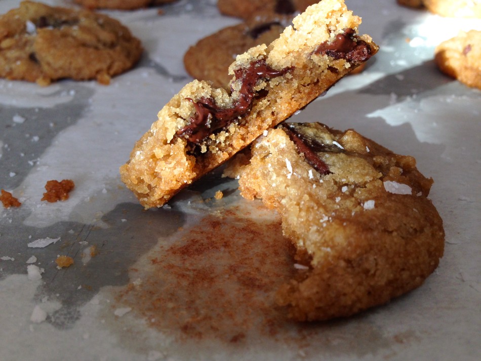 gluten-free-dairy-free-egg-free-chocolate-chip-cookies-fromjessicaskitchen-com