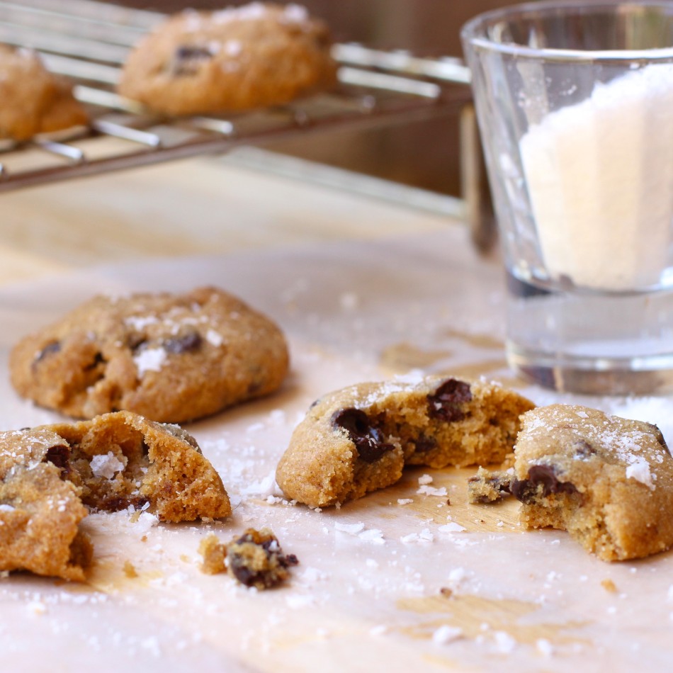 gluten-free-dairy-free-egg-free-chocolate-chip-cookies-fromjessicaskitchen-com