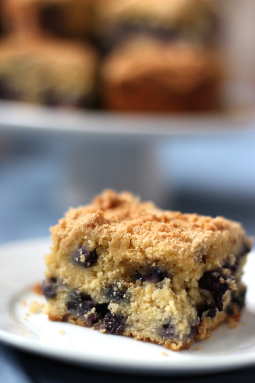 blueberry-cornmeal-cake-gluten-free-dairy-free-from-jessicas-kitchen