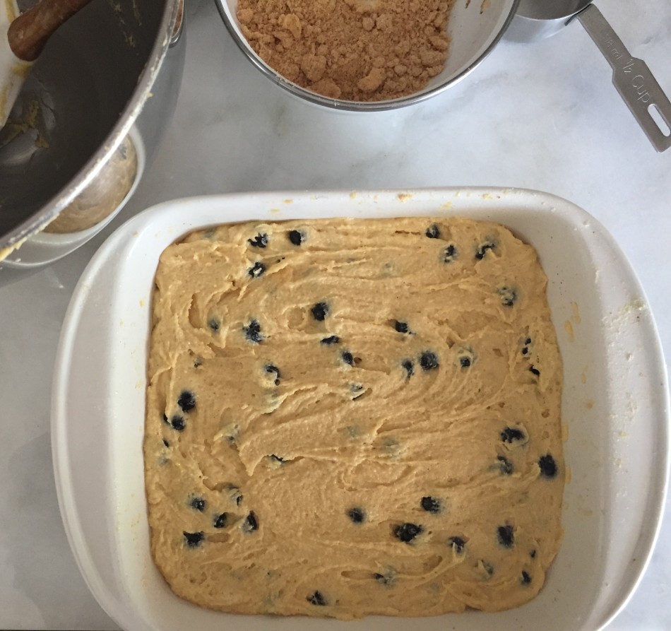blueberry-cornmeal-cake-gluten-free-dairy-free-from-jessicas-kitchen