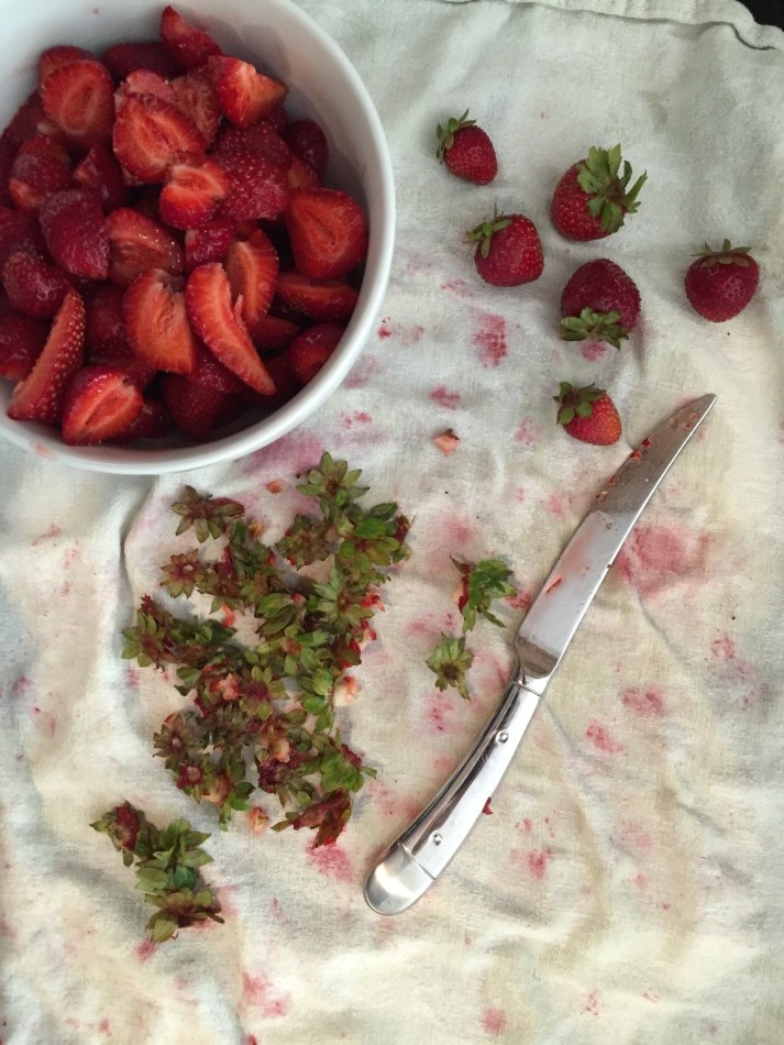 gluten-free-dairy-free-soy-free-strawberry-shortcake-from-jessicas-kitchen